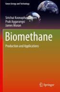 Biomethane di Sirichai Koonaphapdeelert, James Moran, Pruk Aggarangsi edito da Springer Singapore