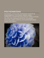 Polygonaceae di Fuente Wikipedia edito da Books LLC, Reference Series