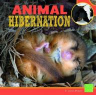 Animal Hibernation di Imogene Barry Mebane edito da CAPSTONE PR