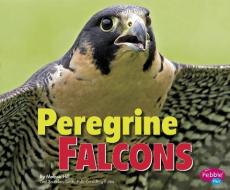 Peregrine Falcons di Melissa Ann Hill edito da CAPSTONE PR