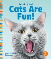 Cats Are Fun! di Mary Elizabeth Salzmann edito da ABDO PUB CO