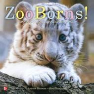 Reading Wonders Literature Big Book: Zoo Borns! Grade K di Mcgraw-Hill edito da GLENCOE SECONDARY