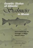 Genetic Status of Atlantic Salmon in Maine: Interim Report di National Research Council, Division On Earth And Life Studies, Ocean Studies Board edito da NATL ACADEMY PR