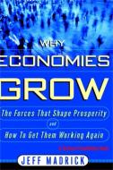 Why Economies Grow di Jeffrey Madrick, Jeff Madrick edito da BASIC BOOKS