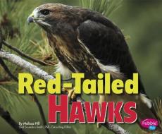Red-Tailed Hawks di Melissa Ann Hill edito da CAPSTONE PR