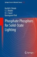 Phosphate Phosphors for Solid-State Lighting di Kartik N. Shinde, S. J. Dhoble, H. C. Swart, Kyeongsoon Park edito da Springer-Verlag GmbH