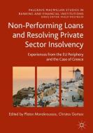 Non-Performing Loans and Resolving Private Sector Insolvency edito da Springer-Verlag GmbH