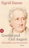 Goethe und Carl August di Sigrid Damm edito da Insel Verlag GmbH
