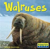 Walruses di Connie Colwell Miller edito da Bridgestone Books