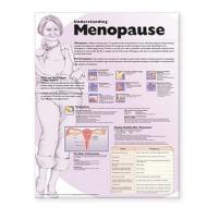 Understanding Menopause Anatomical Chart edito da Lippincott Williams And Wilkins
