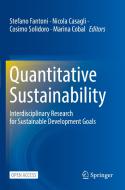 Quantitative Sustainability edito da Springer International Publishing