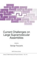 Current Challenges on Large Supramolecular Assemblies edito da Kluwer Academic Publishers