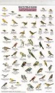 Northern California Park Backyard Birds di Craig MacGowan edito da Mountaineers Books