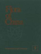 Flora of China, Volume 9: Pittosporaceae Through Connaraceae di Zhengyi Wu, Peter H. Raven edito da MISSOURI BOTANICAL GARDEN PR