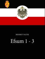 Efsum 1 - 3 di Mehmet Saltik edito da Books on Demand