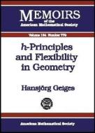 H-principles and Flexibility in Geometry edito da American Mathematical Society
