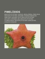 Pimel Dids: Brachyplatystoma, Leiarius, di Font Wikipedia edito da Books LLC, Wiki Series