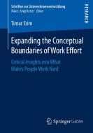 Expanding the Conceptual Boundaries of Work Effort di Timur Erim edito da Springer-Verlag GmbH