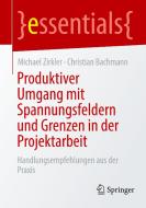 Produktiver Umgang mit Spannungsfeldern und Grenzen in der Projektarbeit di Michael Zirkler, Christian Bachmann edito da Springer-Verlag GmbH
