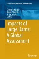 Impacts of Large Dams: A Global Assessment edito da Springer Berlin Heidelberg