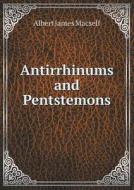 Antirrhinums And Pentstemons di Albert James Macself edito da Book On Demand Ltd.