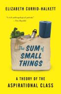 Sum of Small Things di Elizabeth Currid-Halkett edito da Princeton Univers. Press