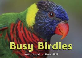 Busy Birdies di John Schindel, Steven Holt edito da Tricycle Press