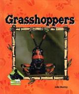 Grasshoppers di Julie Murray edito da Buddy Books