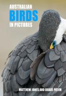 Australian Birds in Pictures di Matthew Jones, Duade Paton edito da NEW HOLLAND