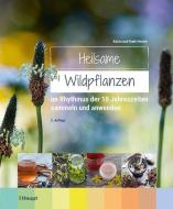 Heilsame Wildpflanzen di Frank Hecker, Katrin Hecker edito da Haupt Verlag AG