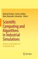 Scientific Computing and Algorithms in Industrial Simulations edito da Springer International Publishing