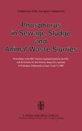 Phosphorus in Sewage Sludge and Animal Waste Slurries edito da Springer Netherlands
