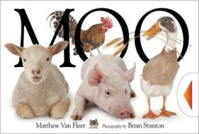 Moo! di Matthew Van Fleet edito da Simon & Schuster Ltd