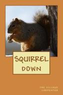 Squirrel Down di The Village Carpenter, Charles Lee Emerson edito da Createspace