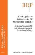 Key Regulatory Initiatives in Eu Sustainable Banking: Exploring Sustainability Risk Management in the Eu Banking Industry di Alexandra-Cristina Hanganu edito da BRILL ACADEMIC PUB