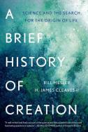 A Brief History of Creation: Science and the Search for the Origin of Life di Bill Mesler, H. James Cleaves edito da W W NORTON & CO