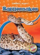 Rattlesnakes di Colleen Sexton edito da BELLWETHER MEDIA