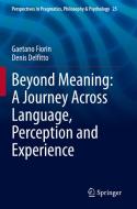 Beyond Meaning: A Journey Across Language, Perception and Experience di Denis Delfitto, Gaetano Fiorin edito da Springer International Publishing
