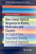 Non-Linear Optical Response in Atoms, Molecules and Clusters di Vladimir Goncharov edito da Springer-Verlag GmbH