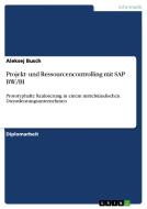 Projekt- und Ressourcencontrolling mit SAP BW/BI di Aleksej Busch edito da GRIN Publishing