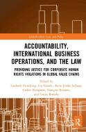 Accountability, International Business Operations And The Law edito da Taylor & Francis Ltd
