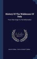 History Of The Waldenses Of Italy: From Their Origin To The Reformation di Emilio Comba edito da Sagwan Press