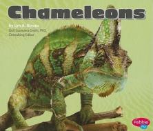 Chameleons di Lyn A. Sirota edito da Pebble Plus