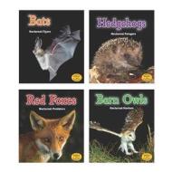 Night Safari di Rebecca Rissman edito da Heinemann Educational Books