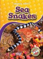 Sea Snakes di Colleen Sexton edito da BELLWETHER MEDIA