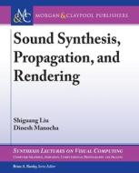 Sound Synthesis, Propagation, and Rendering di Shiguang Liu, Dinesh Manocha edito da MORGAN & CLAYPOOL