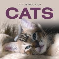 Little Book Of Cats di Jon Stroud edito da G2 Entertainment Ltd