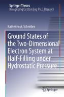 Ground States of the Two-Dimensional Electron System at Half-Filling under Hydrostatic Pressure di Katherine A. Schreiber edito da Springer International Publishing