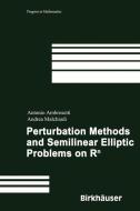 Perturbation Methods and Semilinear Elliptic Problems on R^n di Antonio Ambrosetti, Andrea Malchiodi edito da Birkhäuser Basel