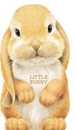 Little Bunny di Giovanni Caviezel edito da Barron's Educational Series Inc.,u.s.
